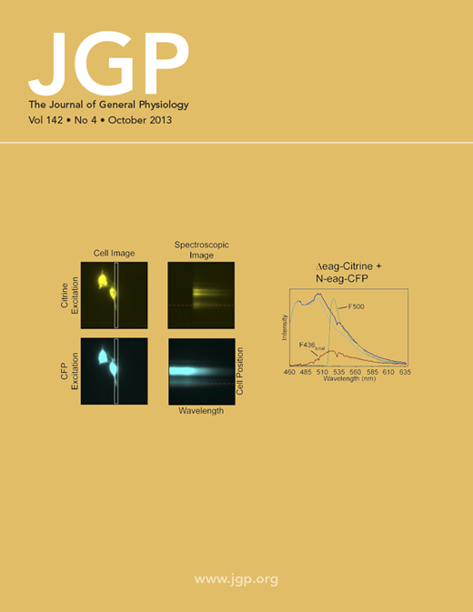 JGP Journal Cover
